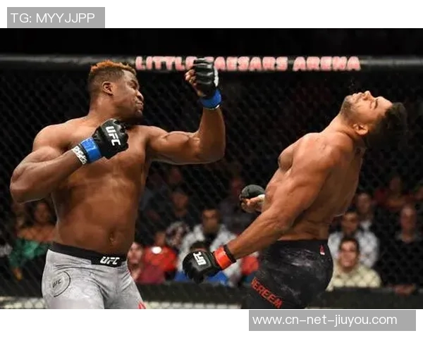 UFC小菊与锤子激烈对决谁将成为擂台上的最终胜者