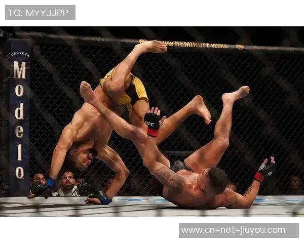 UFC小菊与锤子激烈对决谁将成为擂台上的最终胜者